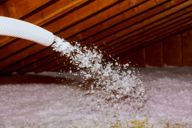 Best Insulation Contractors for Homes  in Portage, PA