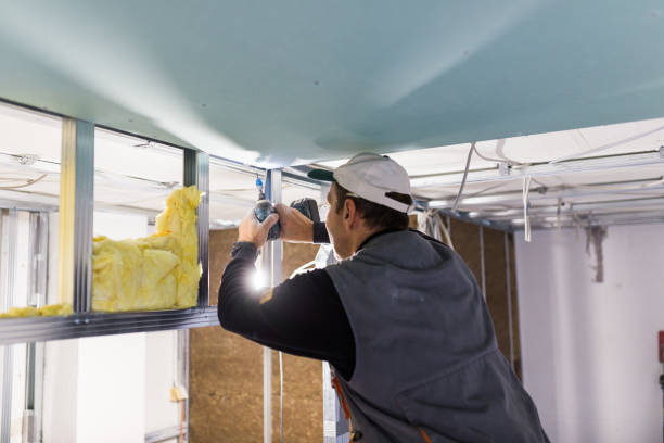 Best Insulation Removal  in Portage, PA