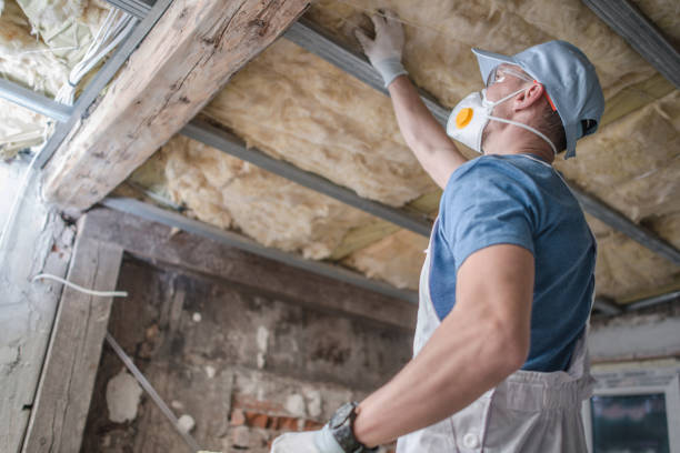 Best Insulation Repair Services  in Portage, PA